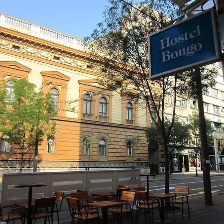 Bongo Belgrad